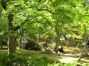 木のある所大好き。又山に登りたい。