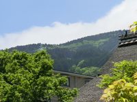 お山大好き。また登りたい。