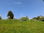 日本の昔はこんな風景どこにでもあった。