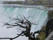ナイアガラフォールズ。音も迫力満点。