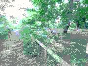 心象風景。比較的落ち着いていた、と思う。