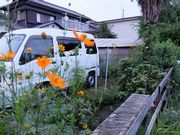 もう秋の気配？あせるな。