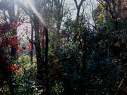 ここからの風景。一条の光が写っていた。