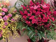 お花の色が孫の名前と同じ