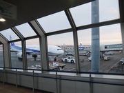 千歳空港。この時期雪がないのは珍しいらしい。温暖化の影響、大きい。
