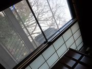 二階から見た冬の木立。寝た状態でとりました。