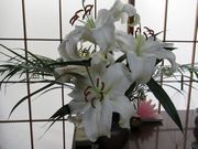 白い百合は祖父が好きな花だった。