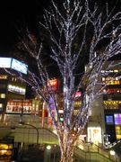 外のクリスマス