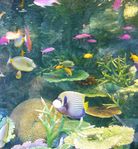 池袋・サンシャイン国際水族館にて