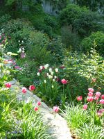 春の花はやさしい