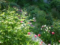 自然が見せる豊かな表情