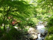 今日はとてもとても暑かった。