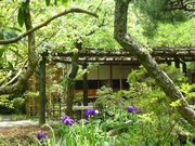 百草園お茶室正面