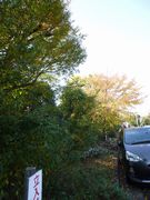 散歩の途中で。雲一つない日本晴れ。