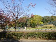 うちの近くの田舎風な景色