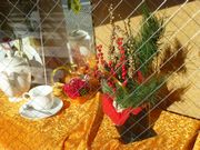 ガラス越しのお正月