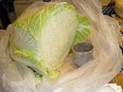 白菜の4/5はお鍋のとお雑煮で消費された。