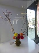 花と光のコラボレーション