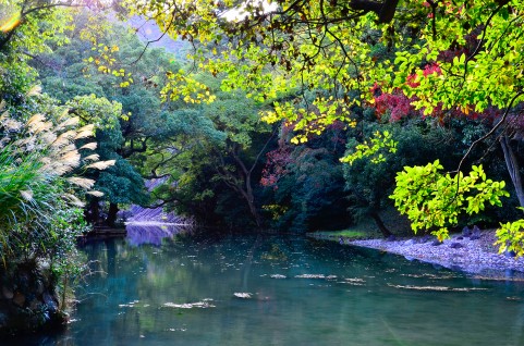 勝手にメディアライブラリに入っていた写真